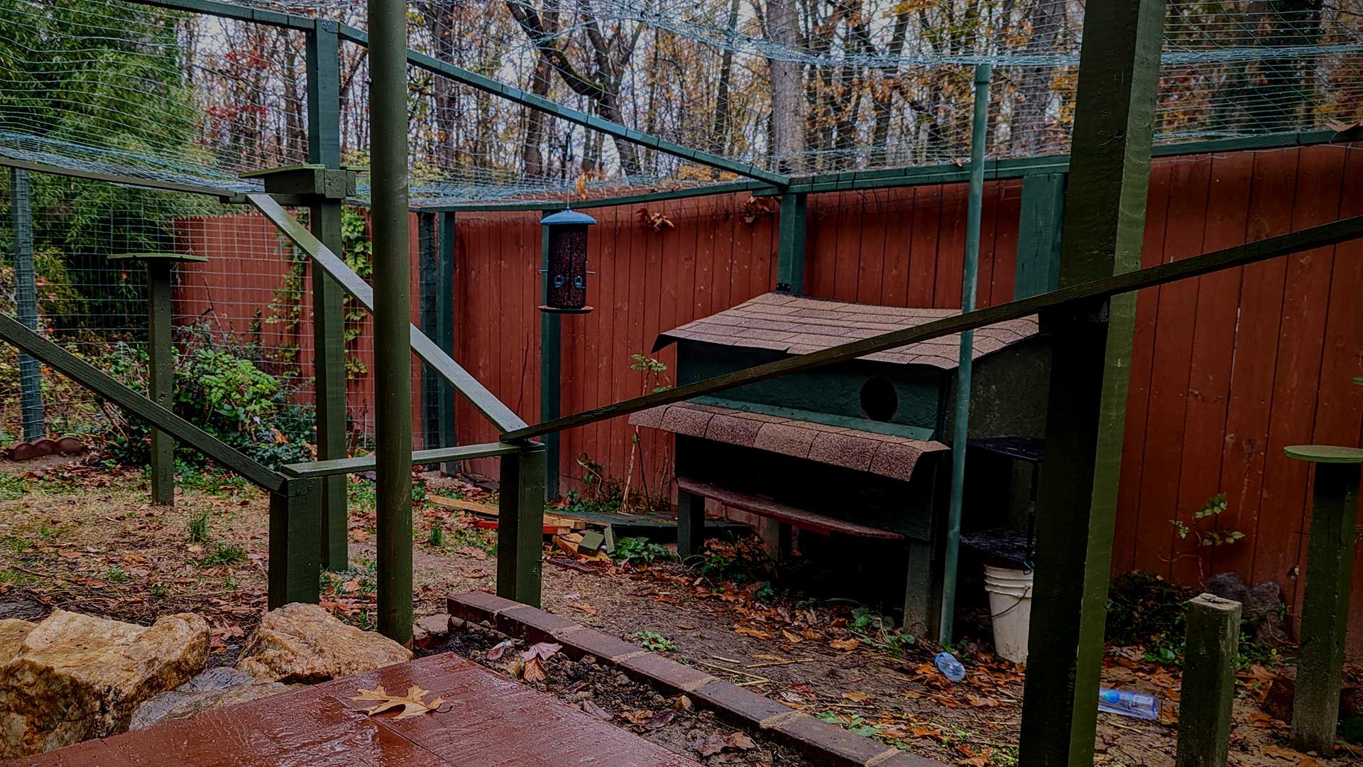 Iconic Breeders outdoor Bengal cat play area.