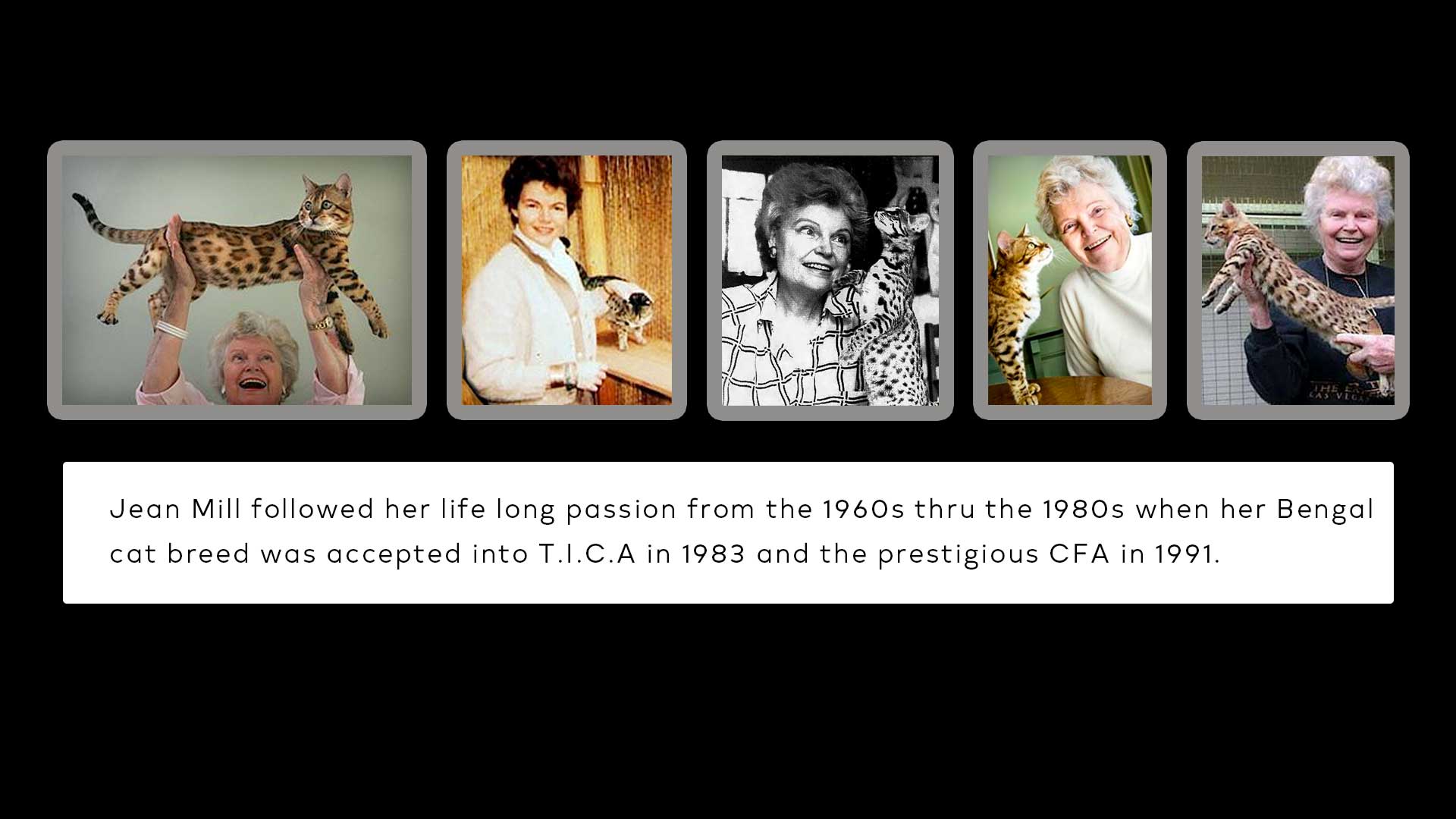 Picture of Jean Mill, the founder of the Bengal cat breed, with a Bengal cat in her arms.